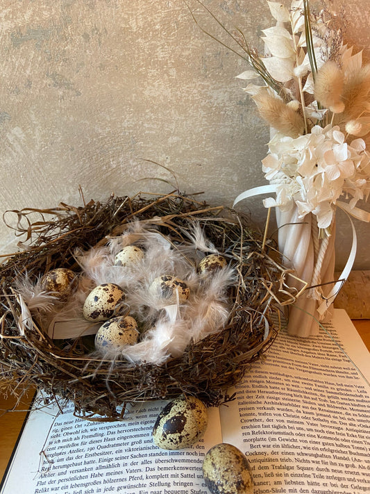 Nest | Frühling | Ostern | Eier | Federn