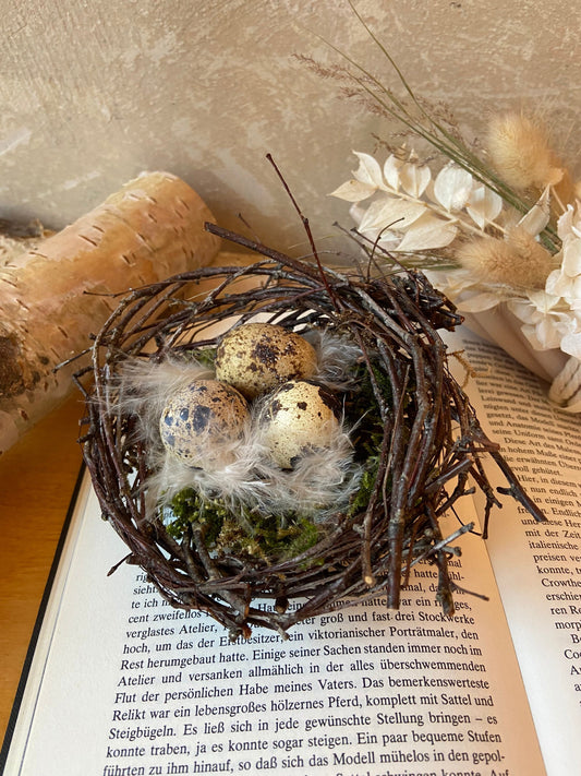 Nest | Frühling | Ostern | Wachteleier | Federn | Birkenzweige