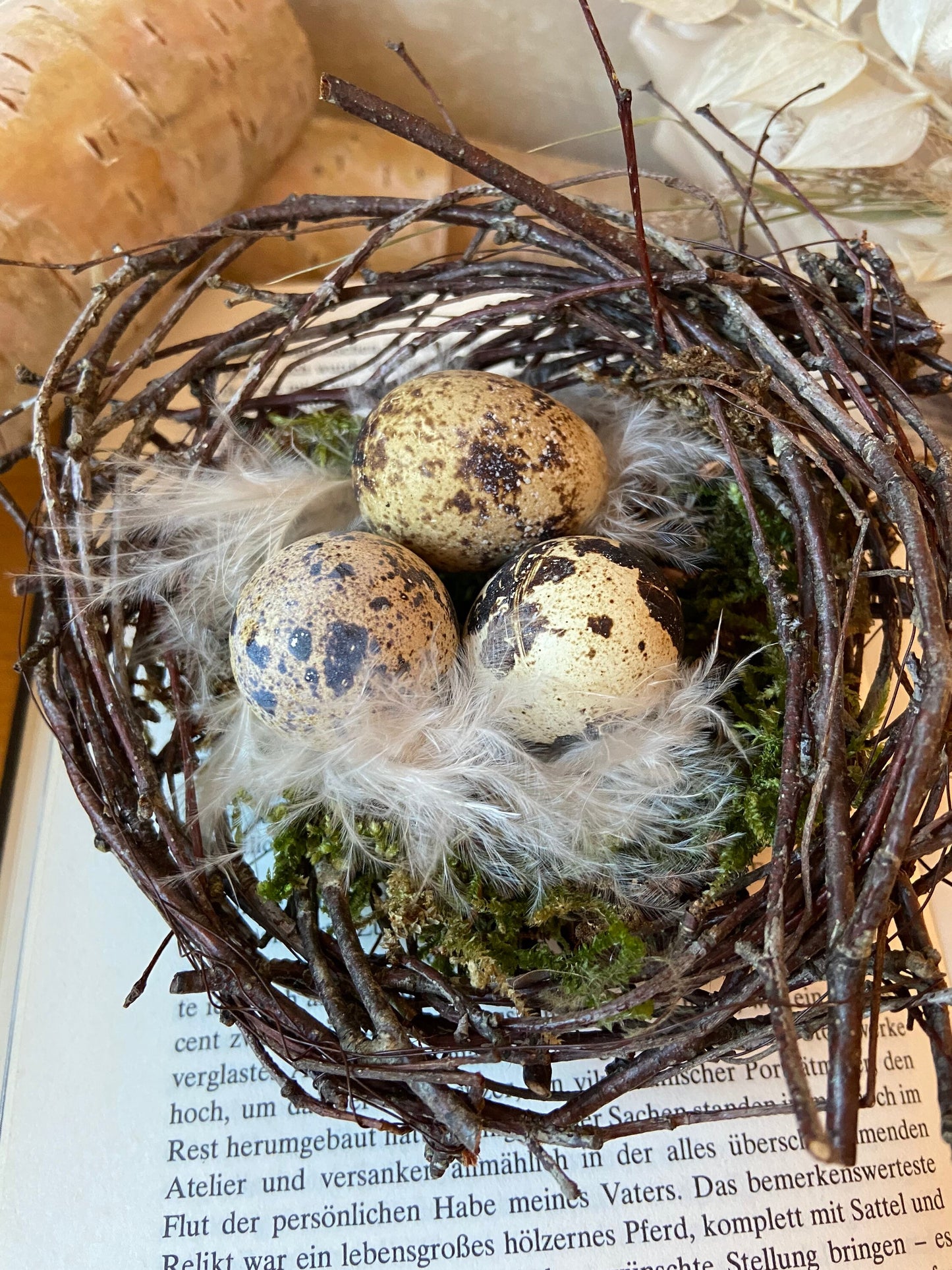 Nest | Frühling | Ostern | Wachteleier | Federn | Birkenzweige