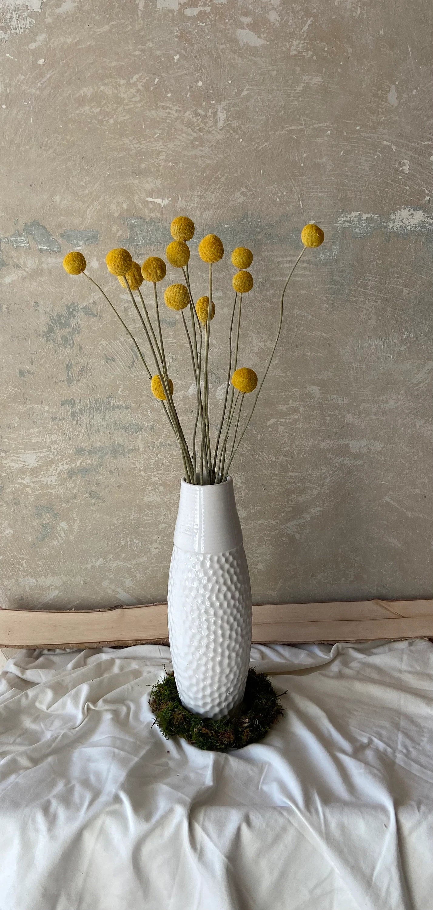 Trommelstöckchen | Craspedia gelb | Trockenblume | Frühling | Zweige für die Vase | Blütenzweig | Ostern | Billy Ball