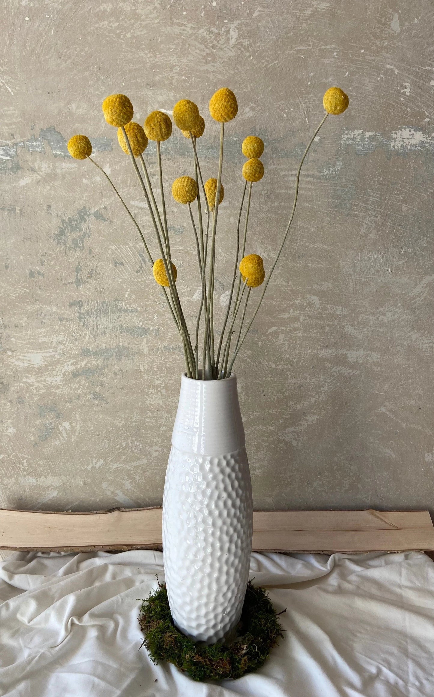 Trommelstöckchen | Craspedia gelb | Trockenblume | Frühling | Zweige für die Vase | Blütenzweig | Ostern | Billy Ball