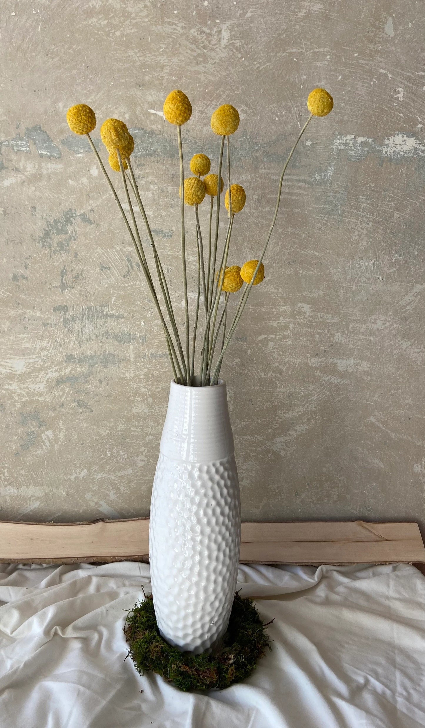 Trommelstöckchen | Craspedia gelb | Trockenblume | Frühling | Zweige für die Vase | Blütenzweig | Ostern | Billy Ball