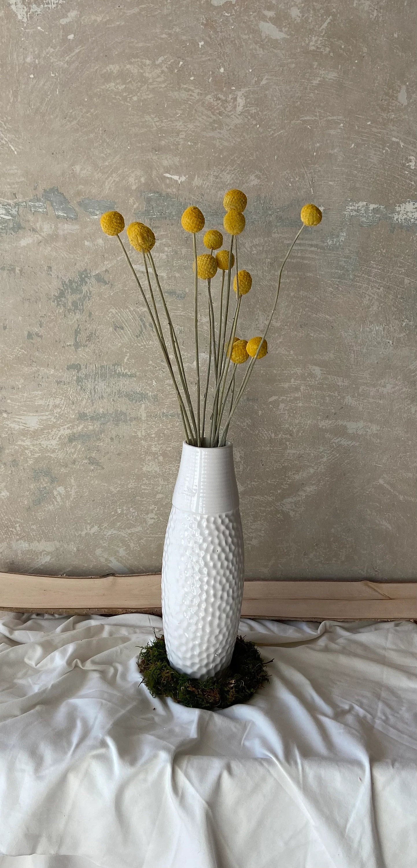 Trommelstöckchen | Craspedia gelb | Trockenblume | Frühling | Zweige für die Vase | Blütenzweig | Ostern | Billy Ball