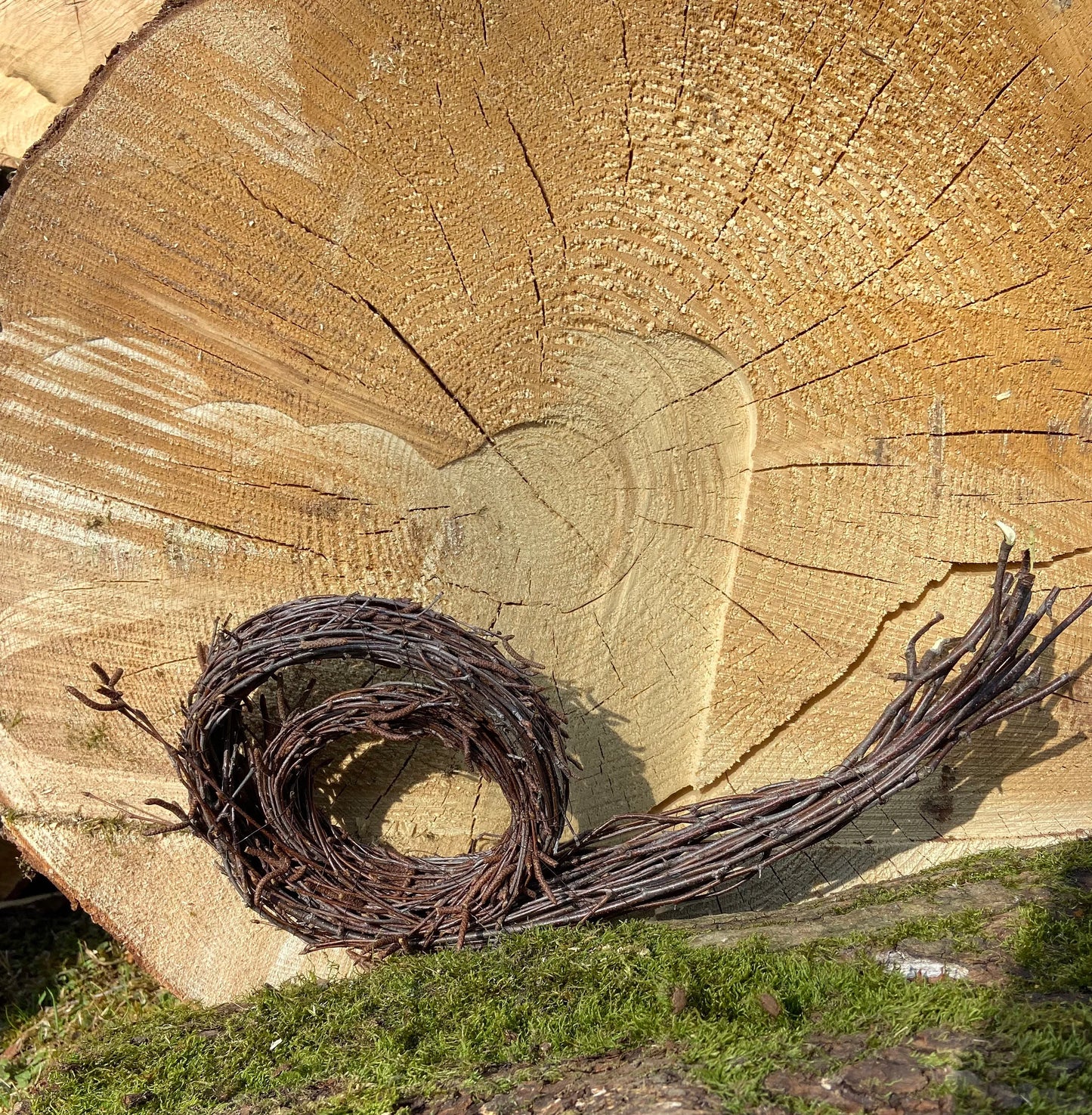 Schnecke aus Birkenzweigen | Birke | Birkenreisig | Gartendeko | Schnecke | Naturdeko | Outdoor Schmuck | Schöner Wohnen