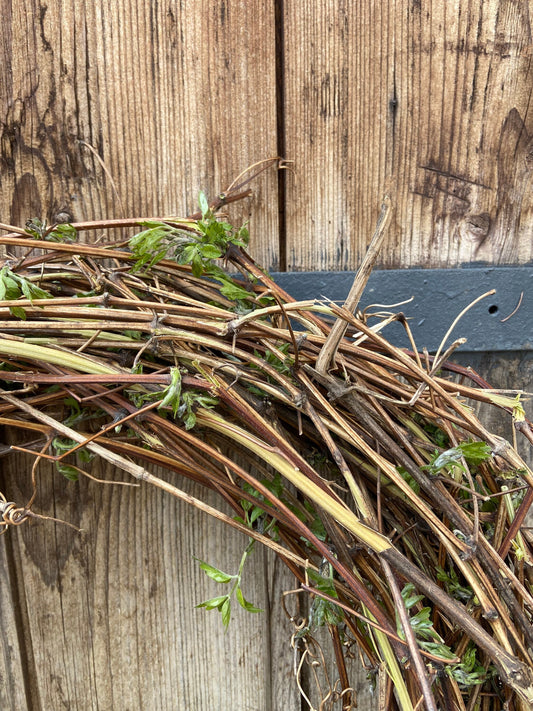 Kranz | Clematisranken | Frühlingskranz | Gartendeko | Natürlich Dekorieren | Ranken | Schlingpflanzen | Frühling | Türkranz | Tischdeko