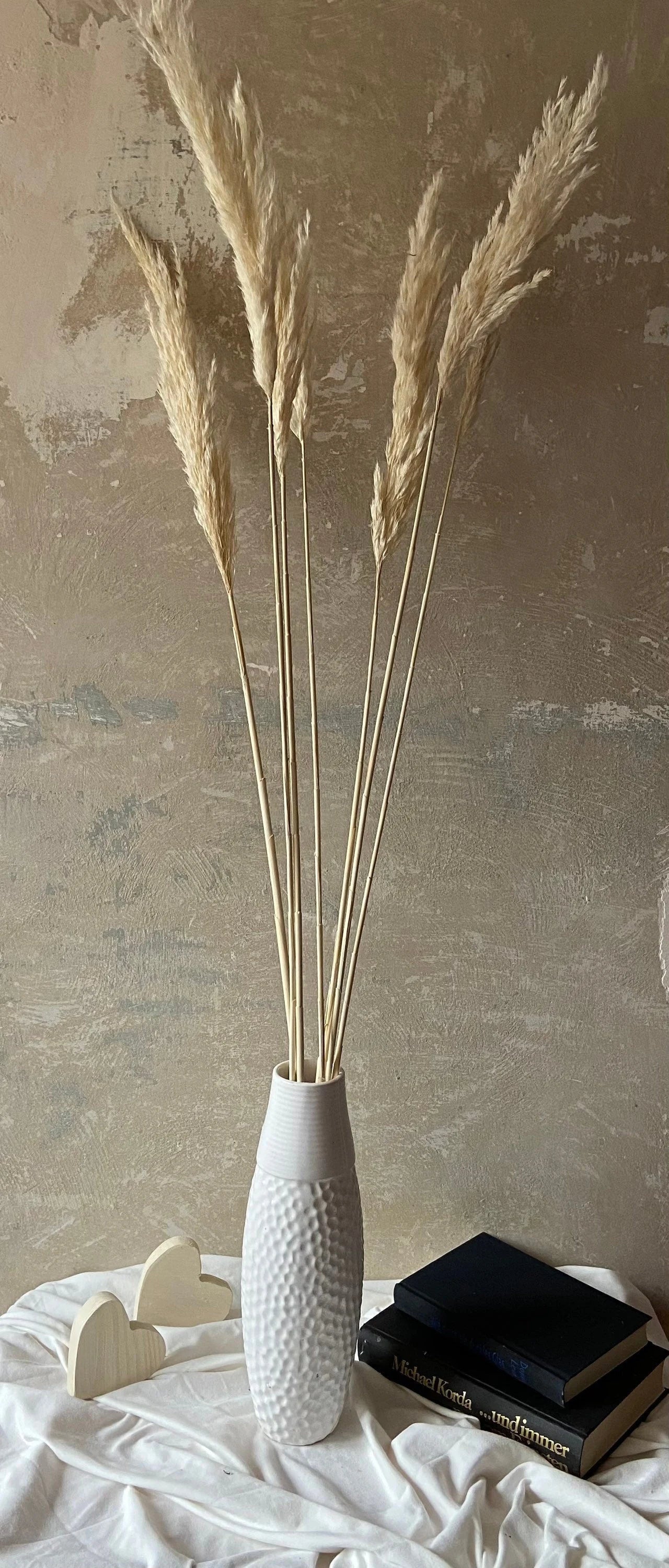 Pampasgras | Breda | naturcreme | ca. 80cm | Trockenblumen | Gräser | Zweige für die Vase |