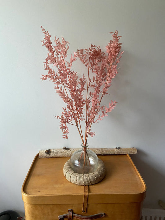 Ruskus | stechender Mäusedorn | Dornmyrte | rosa | pastell | Trockenblume | Zweige für die Vase | Home Decor | Blumendeko