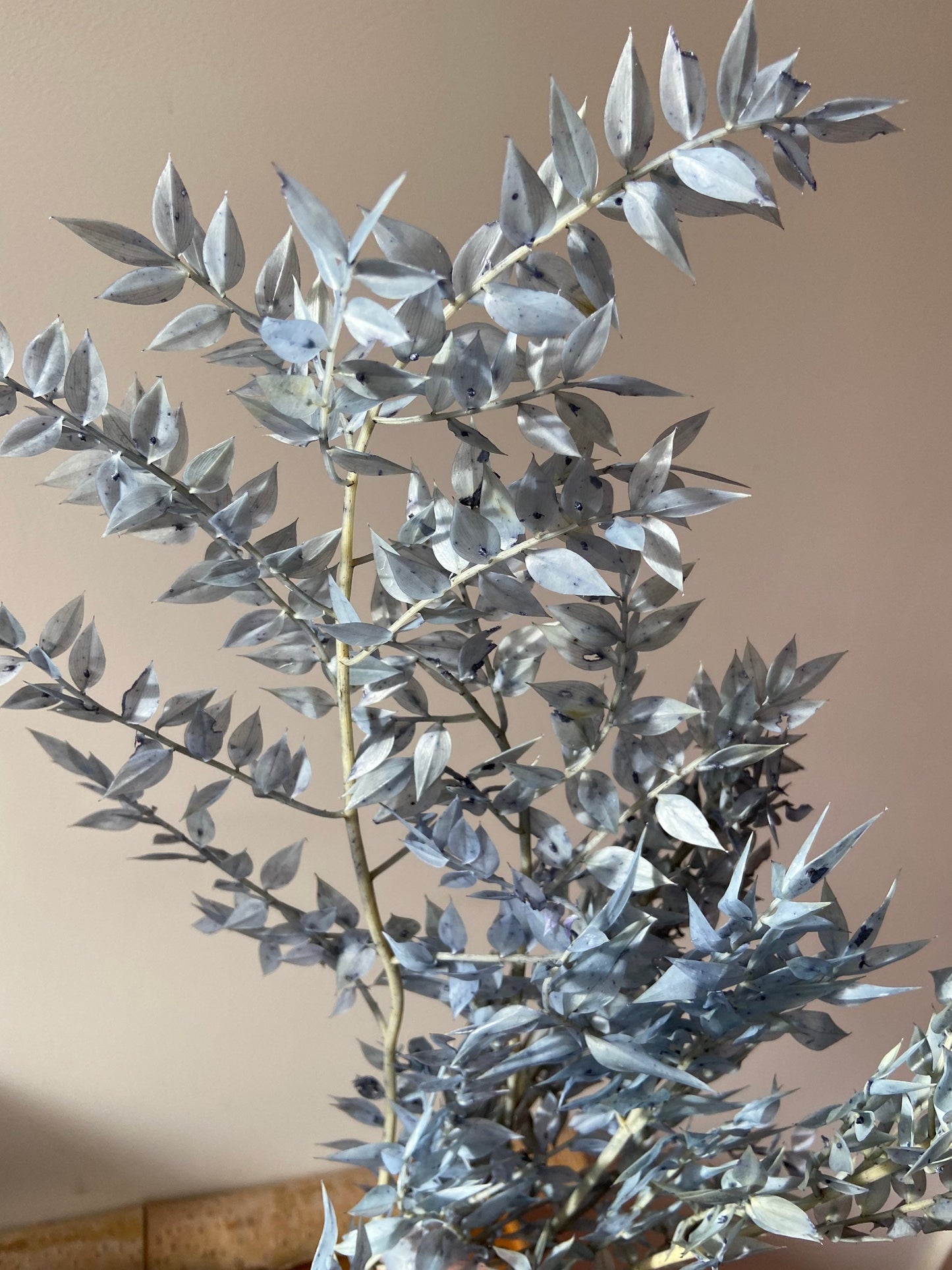 Ruskus | stechender Mäusedorn | Dornmyrte | silbergrau | graublau | Trockenblume | Zweige für die Vase | Home Decor | Blumendeko