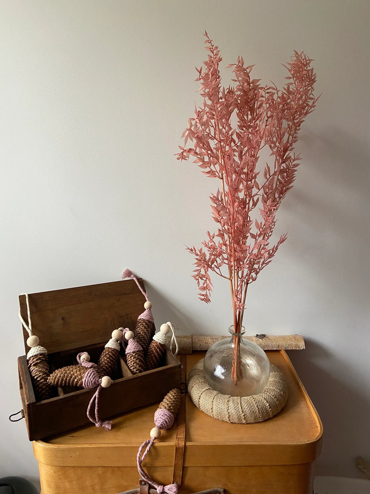 Ruskus | stechender Mäusedorn | Dornmyrte | rosa | pastell | Trockenblume | Zweige für die Vase | Home Decor | Blumendeko