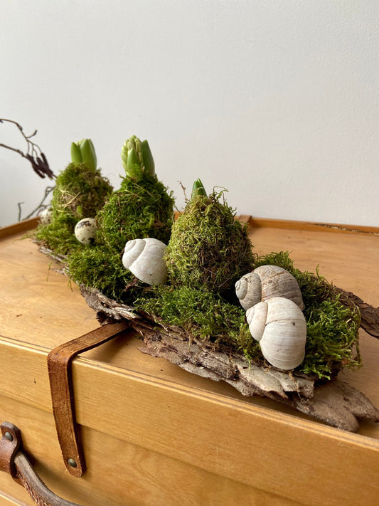 Osterdekoration DIY-Set | Tischdekoration | Frühlingsdeko | Moos | Osternest | Rinde | DIY-Set | Hyazinthe | Schneckenhaus | Wachteleier