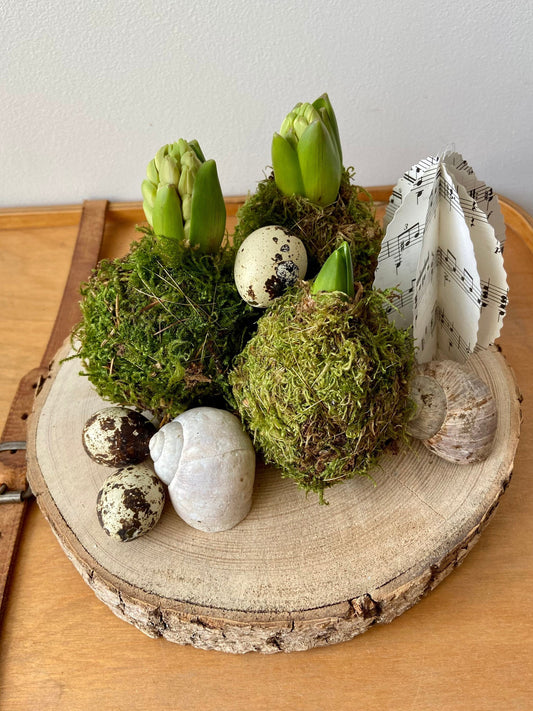 Hyazinthe in Moos | Osterdekoration | Tischdekoration | Frühlingsdeko | Moos | Ostern | Hyazinthe | Frühlingsblüher | NaturDeko
