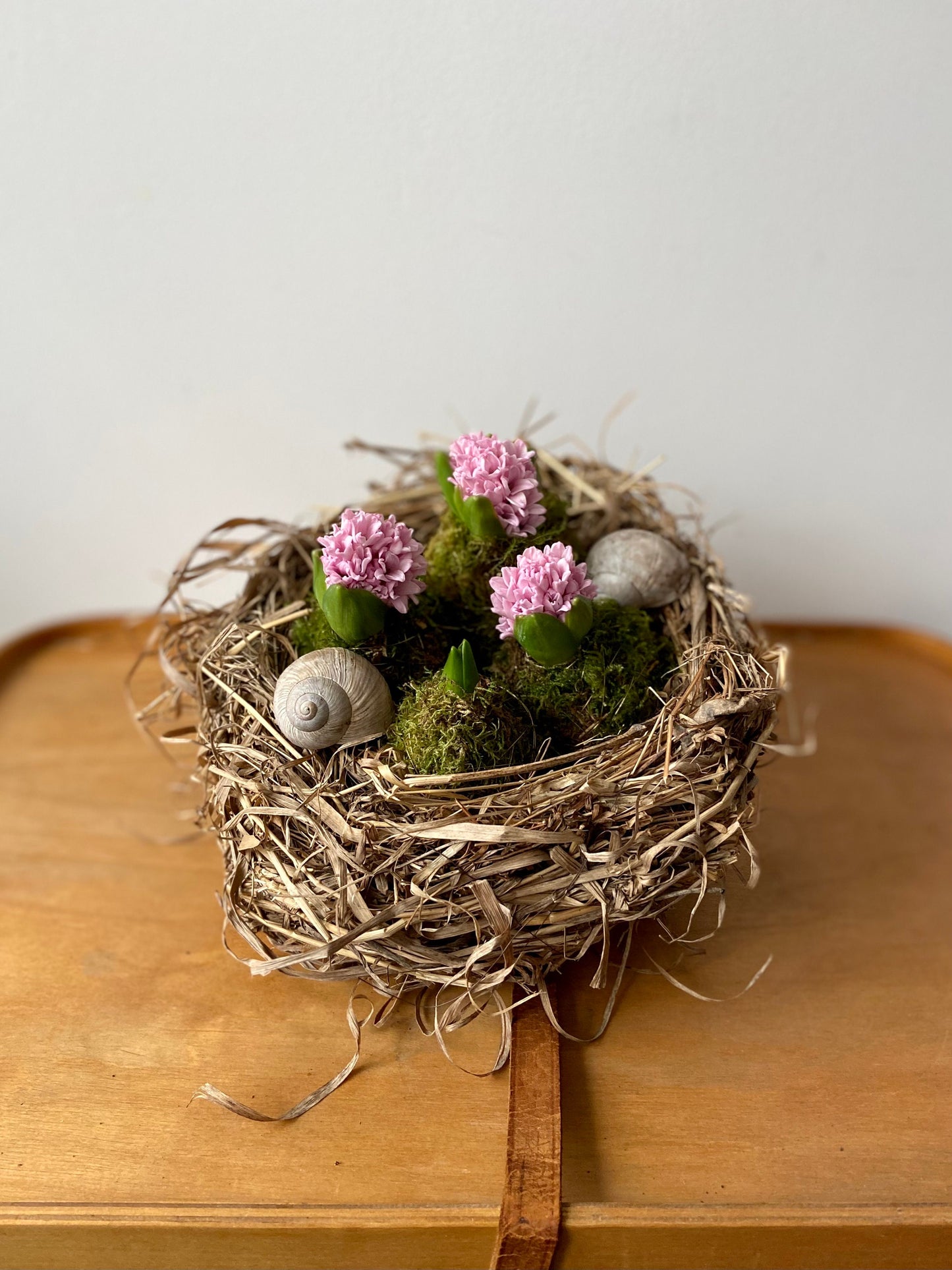 Nest | Frühling | Ostern | groß | Hyazinthen | Schneckenhaus | Frühlingsbote | Blüten in Moos