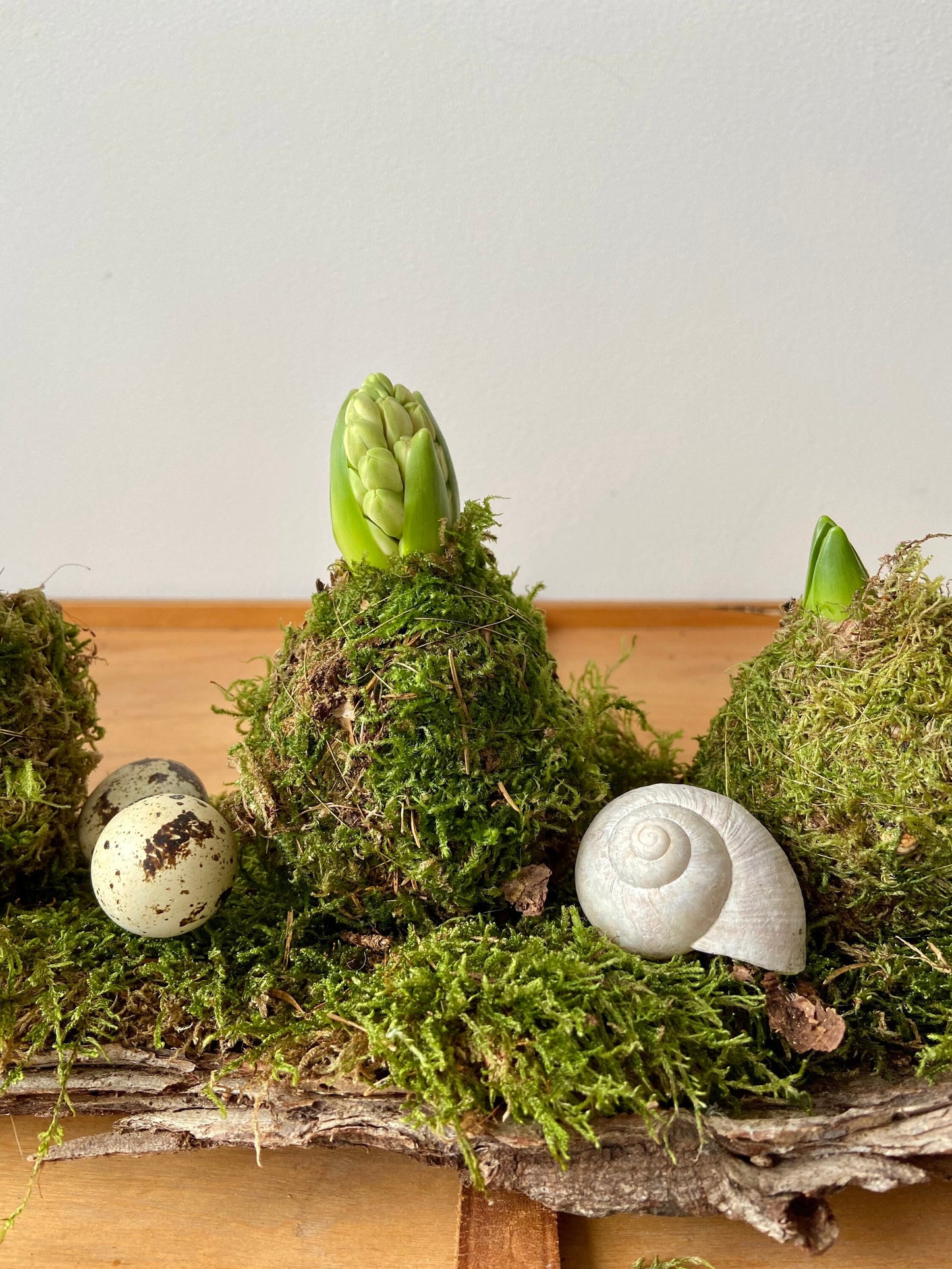 Hyazinthe in Moos | Osterdekoration | Tischdekoration | Frühlingsdeko | Moos | Ostern | Hyazinthe | Frühlingsblüher | NaturDeko