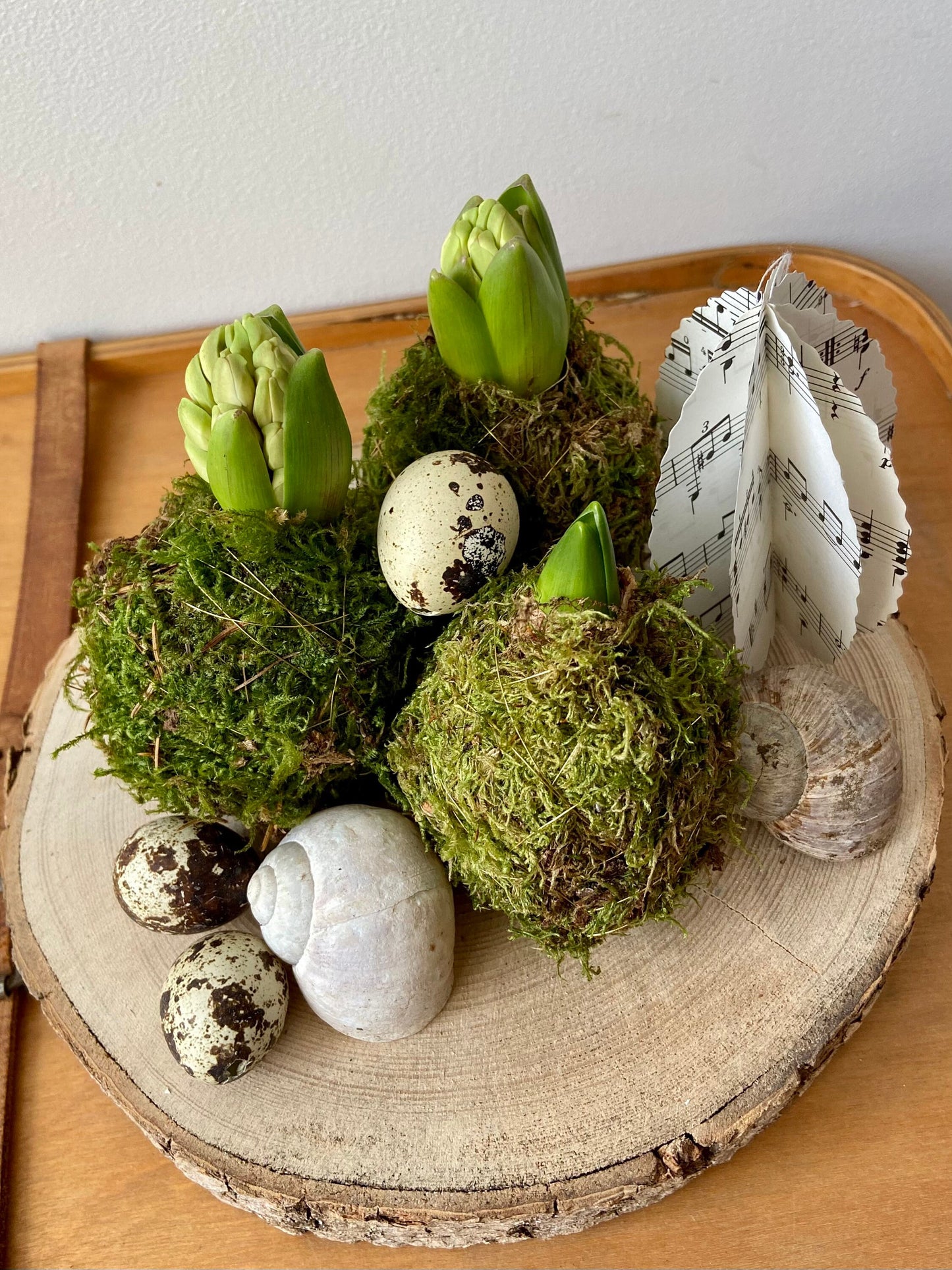 Hyazinthe in Moos | Osterdekoration | Tischdekoration | Frühlingsdeko | Moos | Ostern | Hyazinthe | Frühlingsblüher | NaturDeko