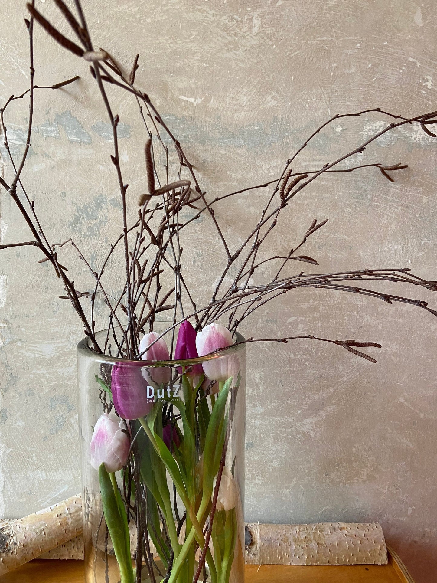 Birkenzweige | Zweige für die Vase | Birke | Frühling | Birke | Vasenzweige