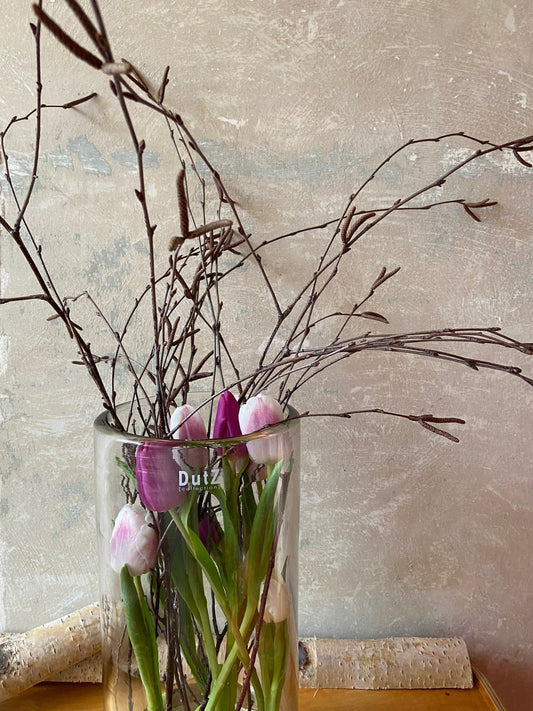 Birkenzweige | Zweige für die Vase | Birke | Frühling | Birke | Vasenzweige