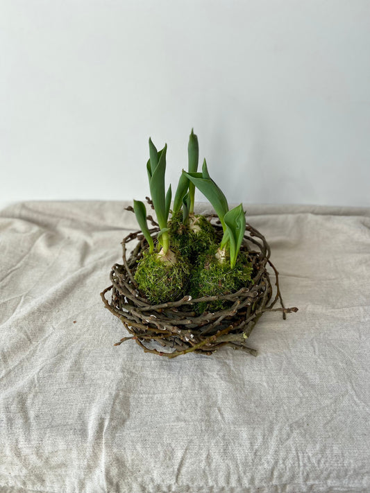 Tulpe in Moos | Nest aus Weidekätzchen | Osterdekoration | Tischdeko | Frühlingsdeko | Moos | Ostern | Tulpe | Frühlingsblüher | NaturDeko
