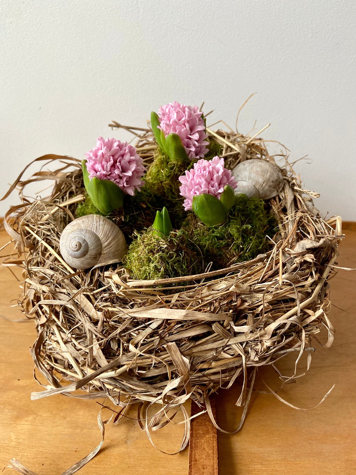 Nest | Frühling | Ostern | groß | Hyazinthen | Schneckenhaus | Frühlingsbote | Blüten in Moos