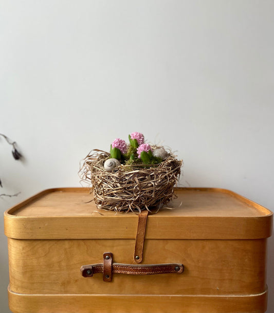 Nest | Frühling | Ostern | groß | Hyazinthen | Schneckenhaus | Frühlingsbote | Blüten in Moos