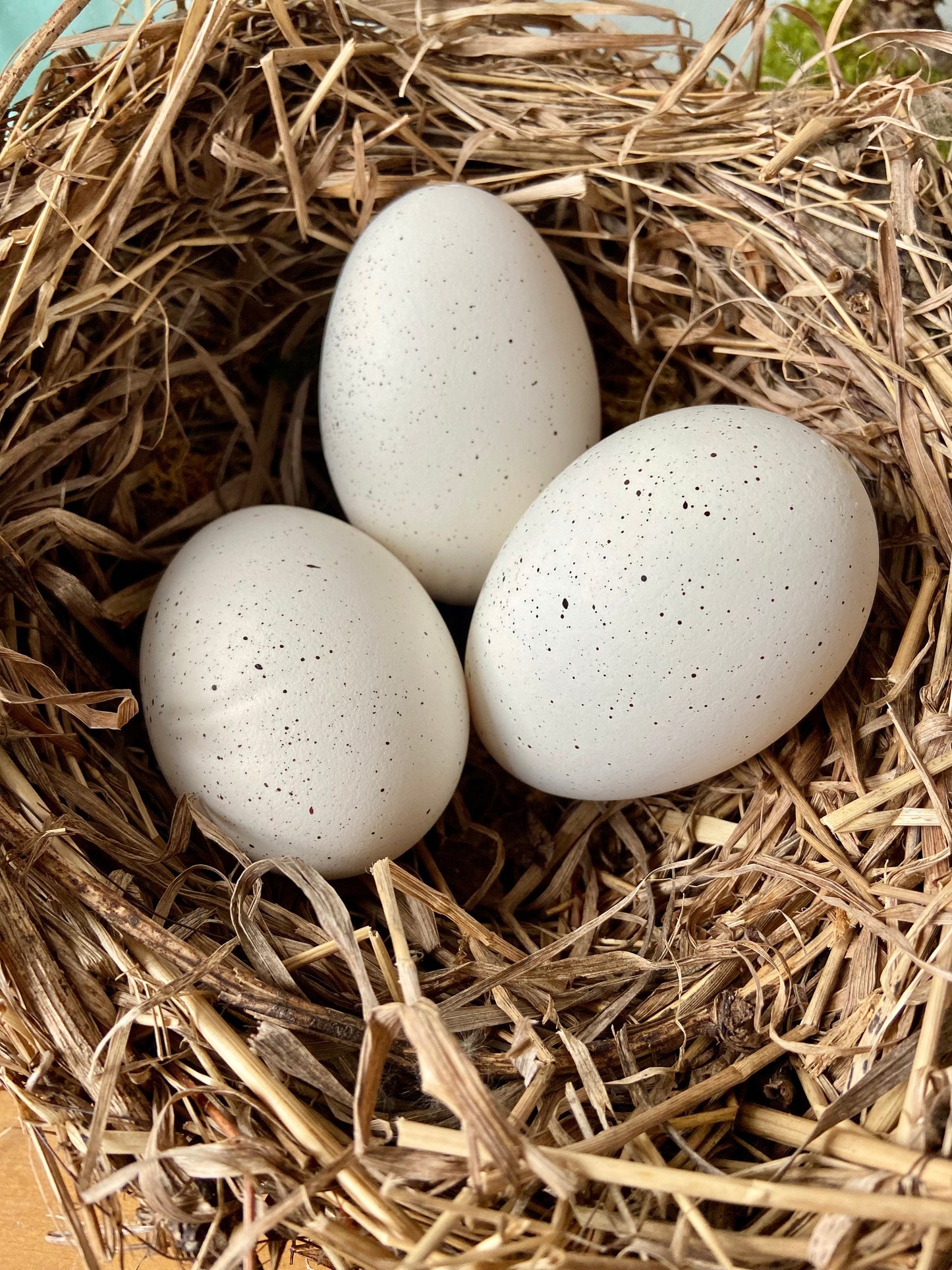 Gänseei weiß mit schwarzen Punkten | Ostern | Deko | Osterei | Frühing | Osterdeko