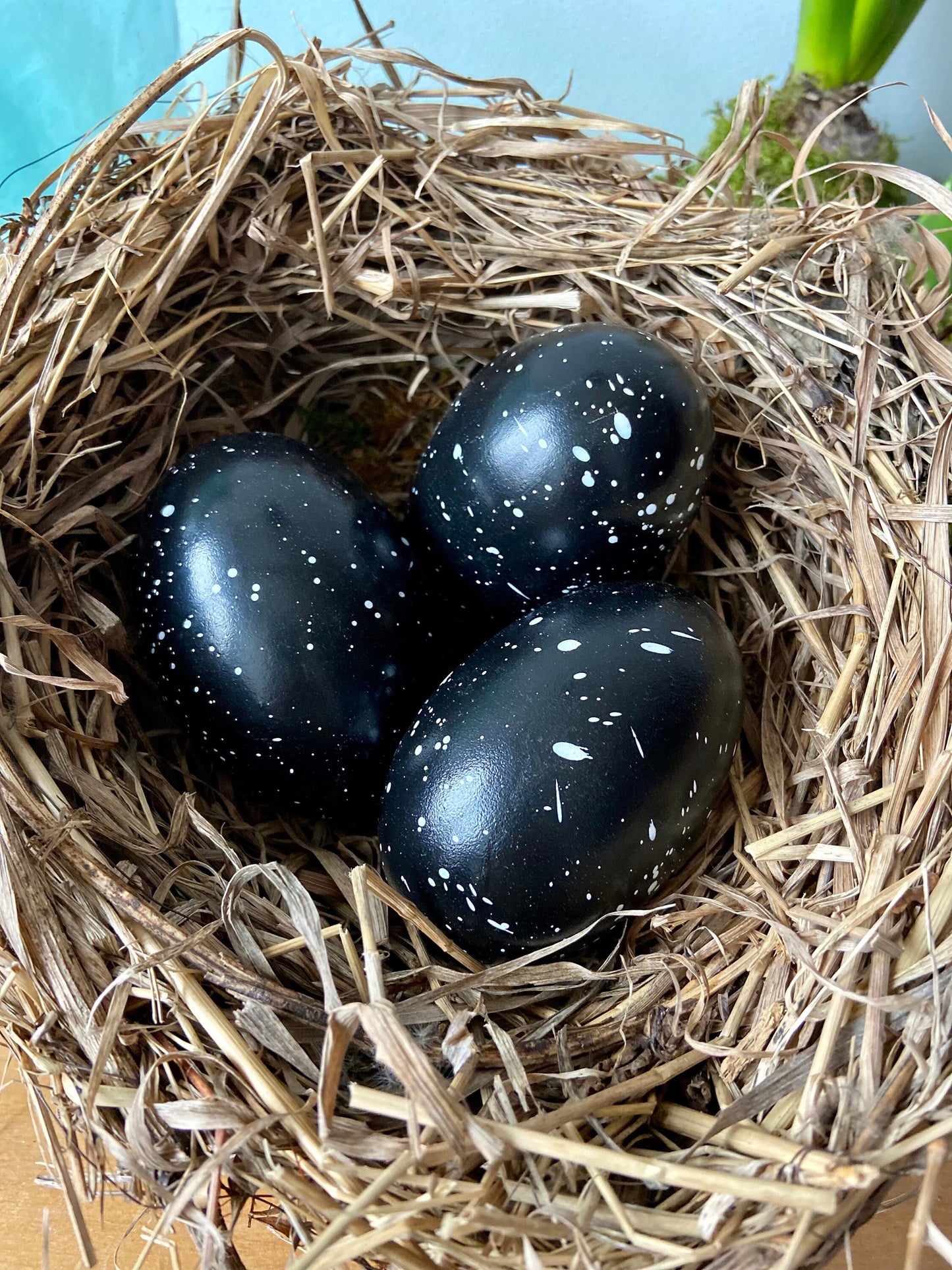 Gänseei schwarz mit weißen Punkten | Ostern | Deko | Osterei | Frühing | Osterdeko