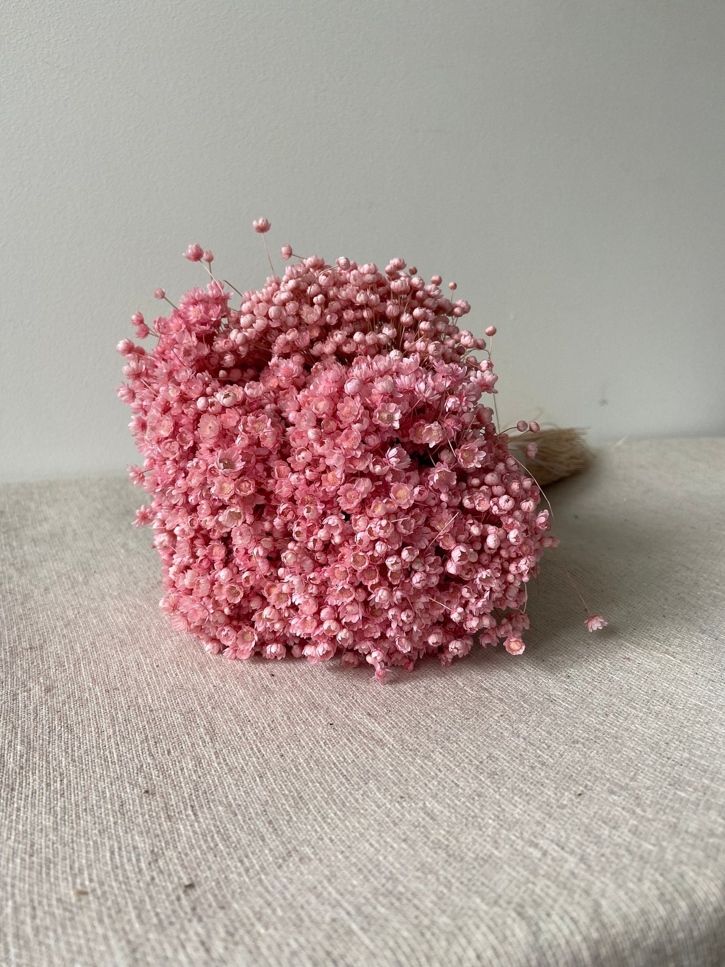 Trockenblumenstrauß | Glixia | babyrosa | zart