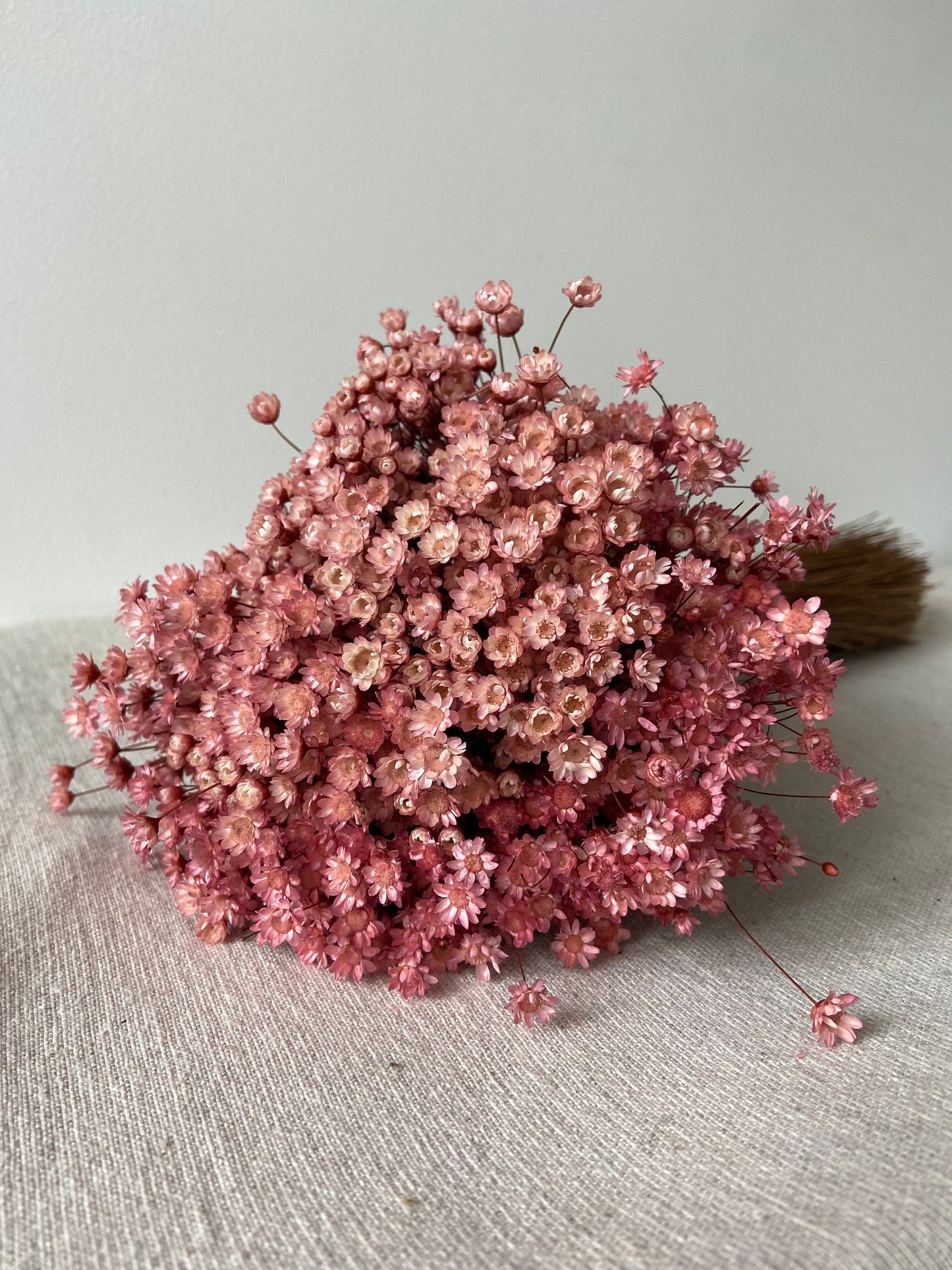 Trockenblumenstrauß | Glixia | babyrosa | zart