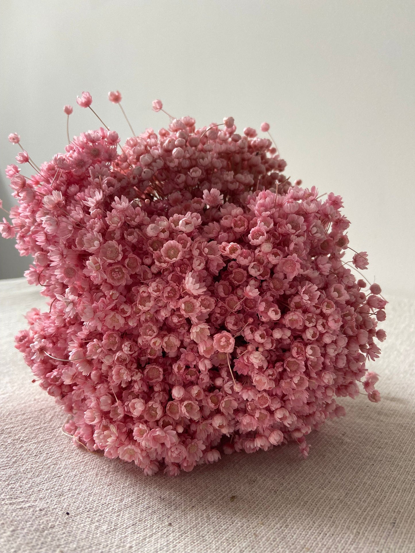 Trockenblumenstrauß | Glixia | babyrosa | zart