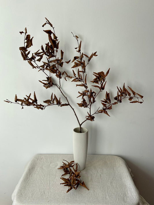 Buchenzweig| Zierzweig für die Vase | Naturzweig | braune Blätter
