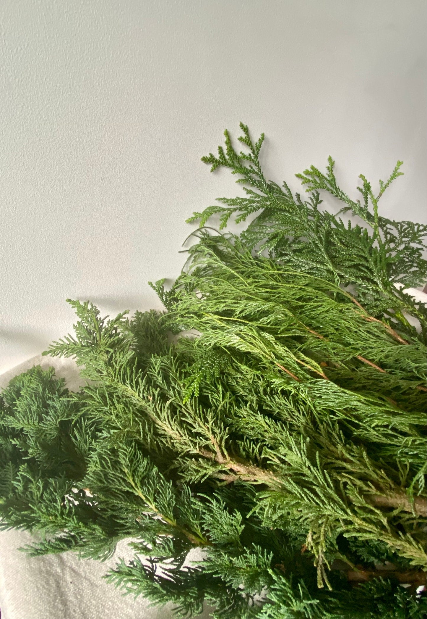 Zweige gemischt | Winterdeko | Advent | Weihnachten | frisches Grün | Naturmaterial | Bastelmaterial | Koniferen | Zypressen | Buchs