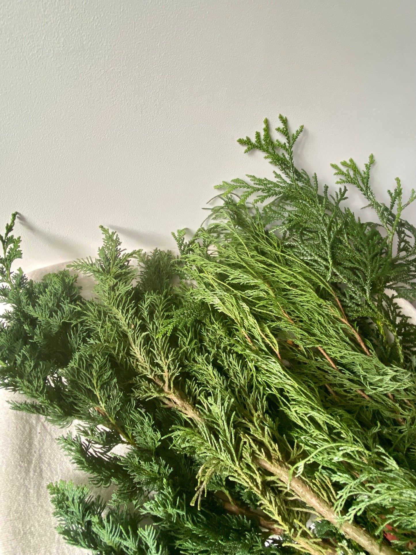 Zweige gemischt | Winterdeko | Advent | Weihnachten | frisches Grün | Naturmaterial | Bastelmaterial | Koniferen | Zypressen | Buchs
