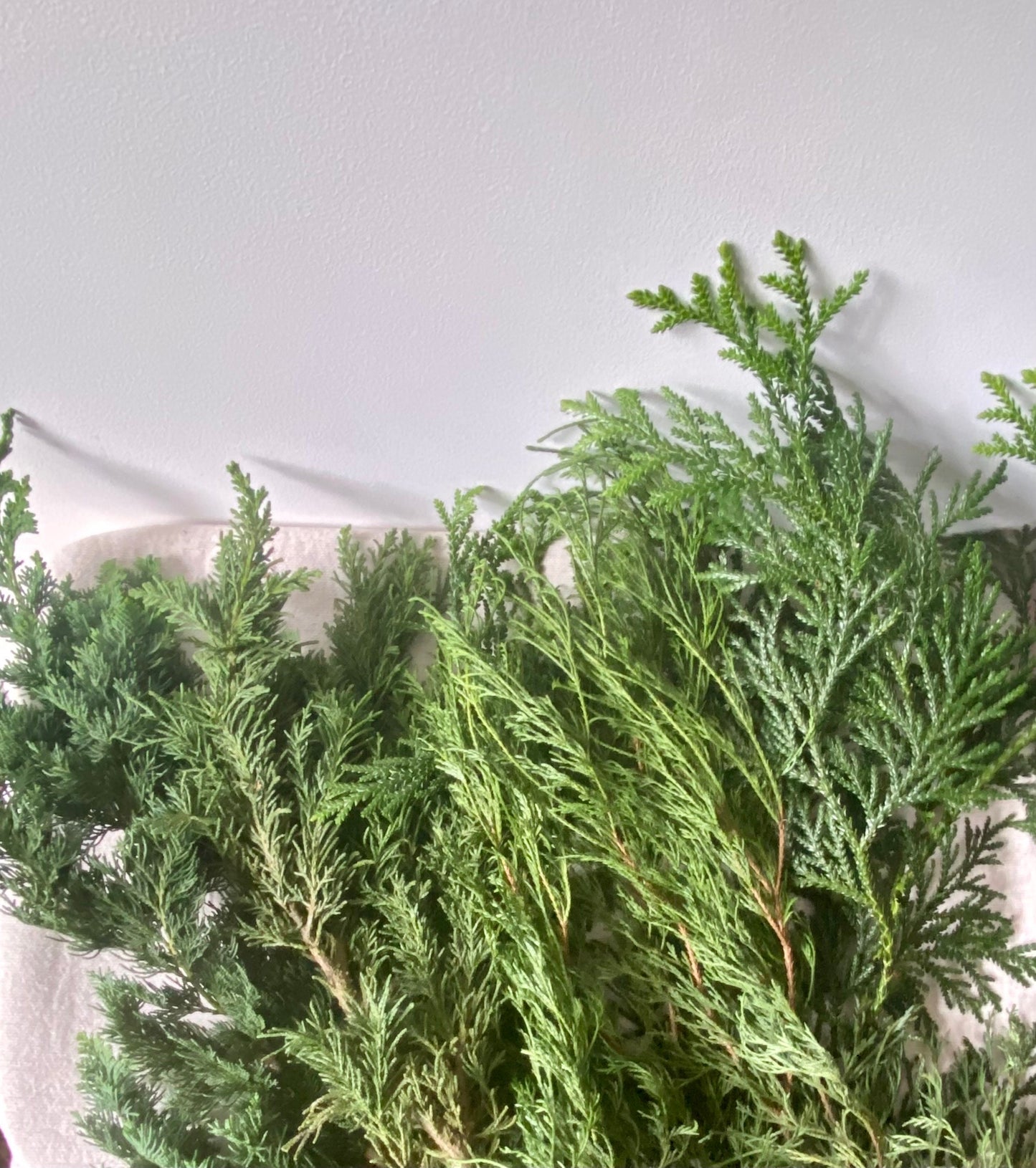 Zweige gemischt | Winterdeko | Advent | Weihnachten | frisches Grün | Naturmaterial | Bastelmaterial | Koniferen | Zypressen | Buchs
