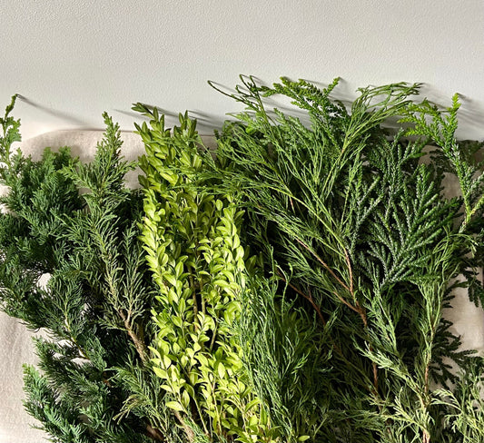 Zweige gemischt | Winterdeko | Advent | Weihnachten | frisches Grün | Naturmaterial | Bastelmaterial | Koniferen | Zypressen | Buchs
