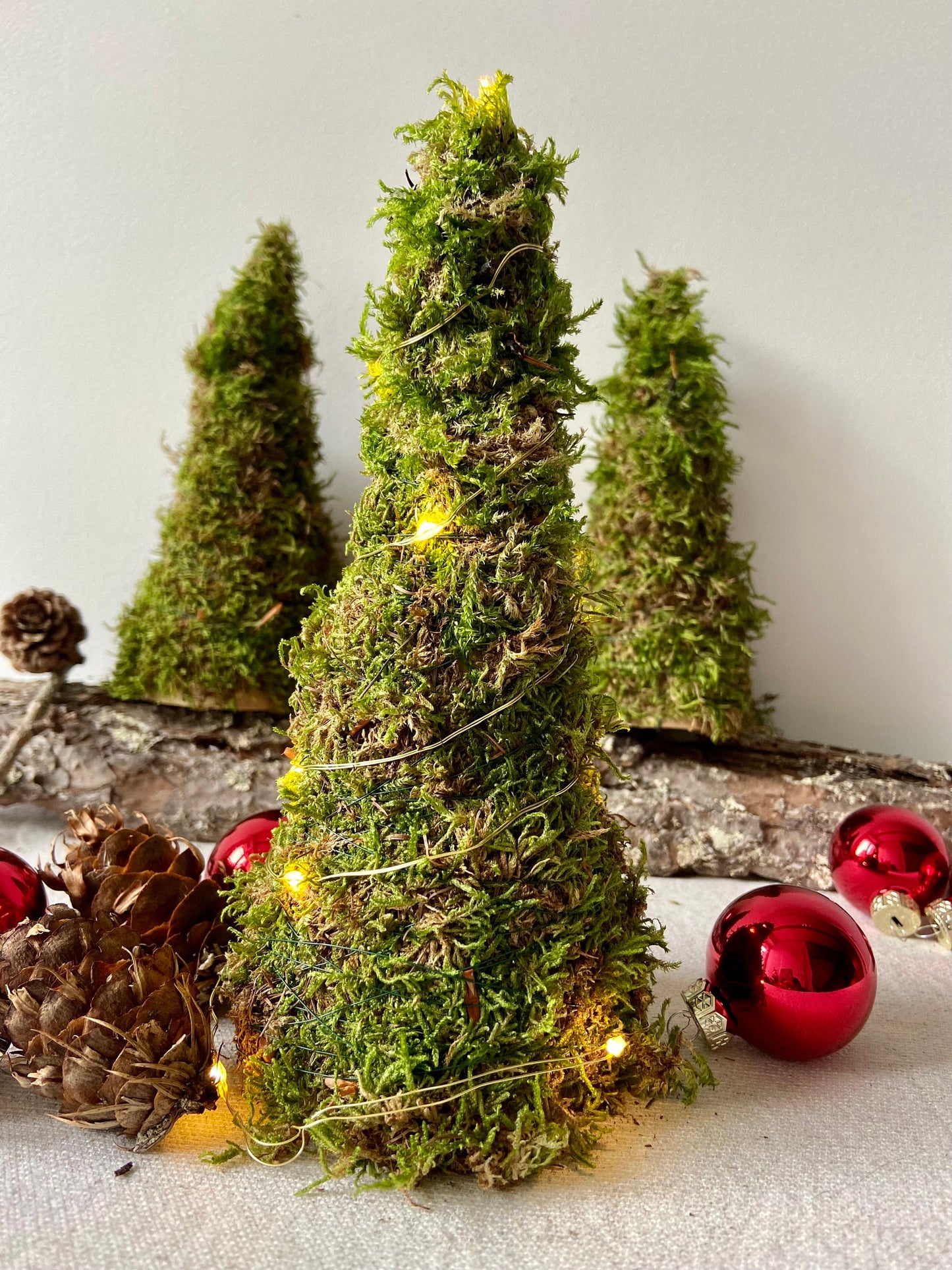Tannenbaum aus Moos | Moosbaum | Advent | Weihnachten | Deko | Winter | Naturdeko | Mini-Tannenbaum