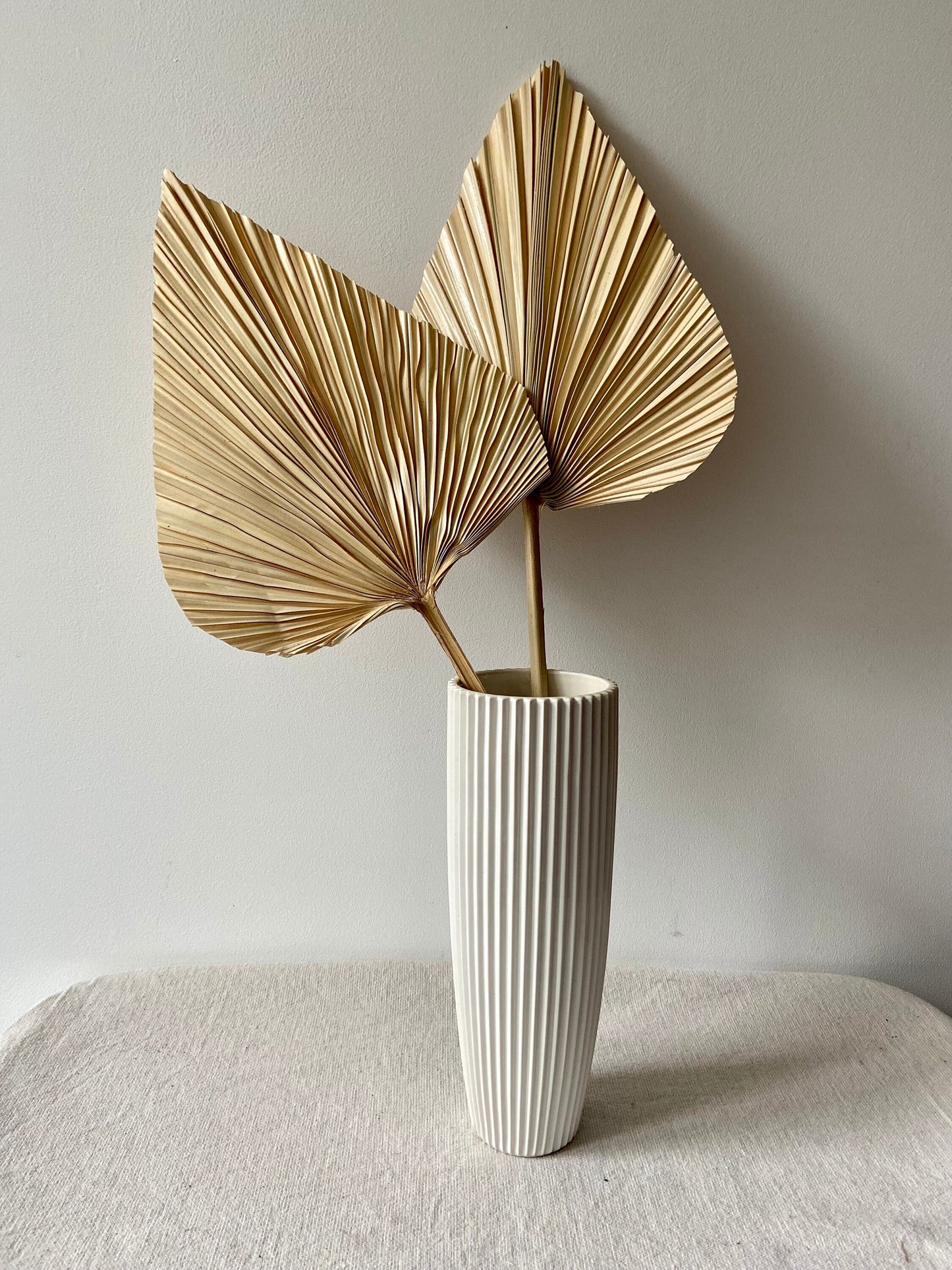 Palmblatt | Bambusblatt | Trockenblume | Creme | Zweige für die Vase | Blütenzweig | Advent | Winter | Dekoblatt | Natur