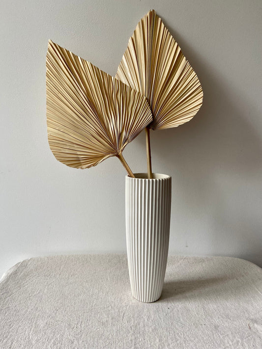 Palmblatt | Bambusblatt | Trockenblume | Creme | Zweige für die Vase | Blütenzweig | Advent | Winter | Dekoblatt | Natur