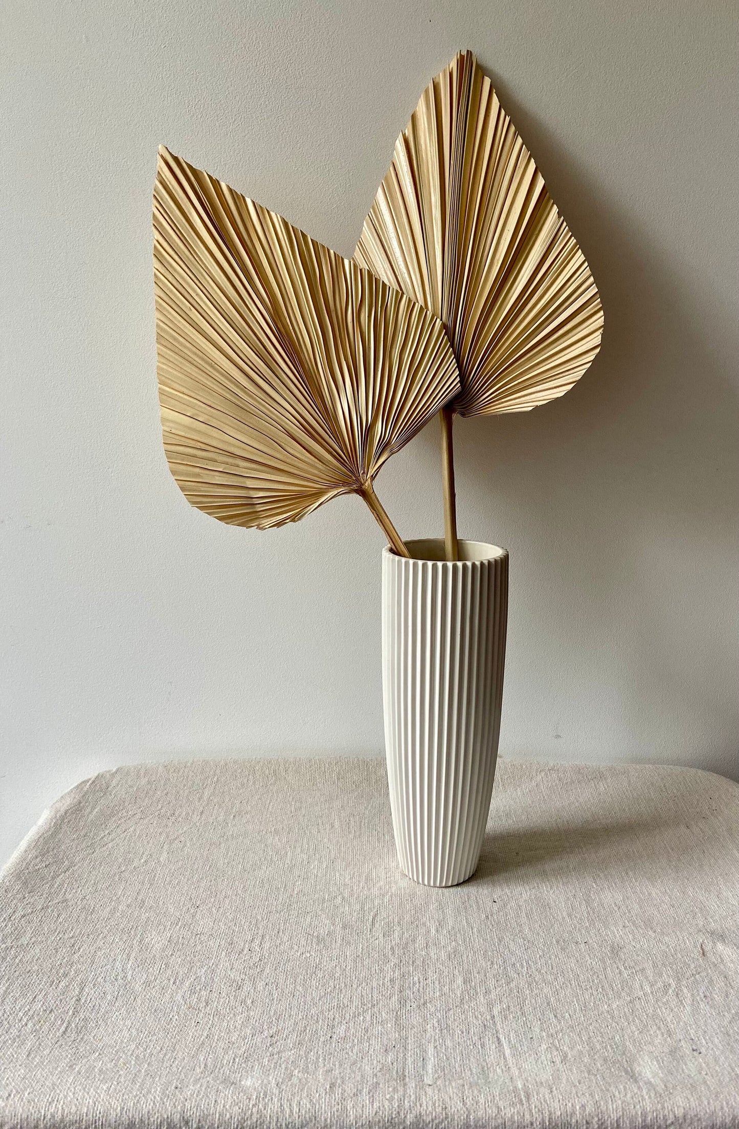 Palmblatt | Bambusblatt | Trockenblume | Creme | Zweige für die Vase | Blütenzweig | Advent | Winter | Dekoblatt | Natur