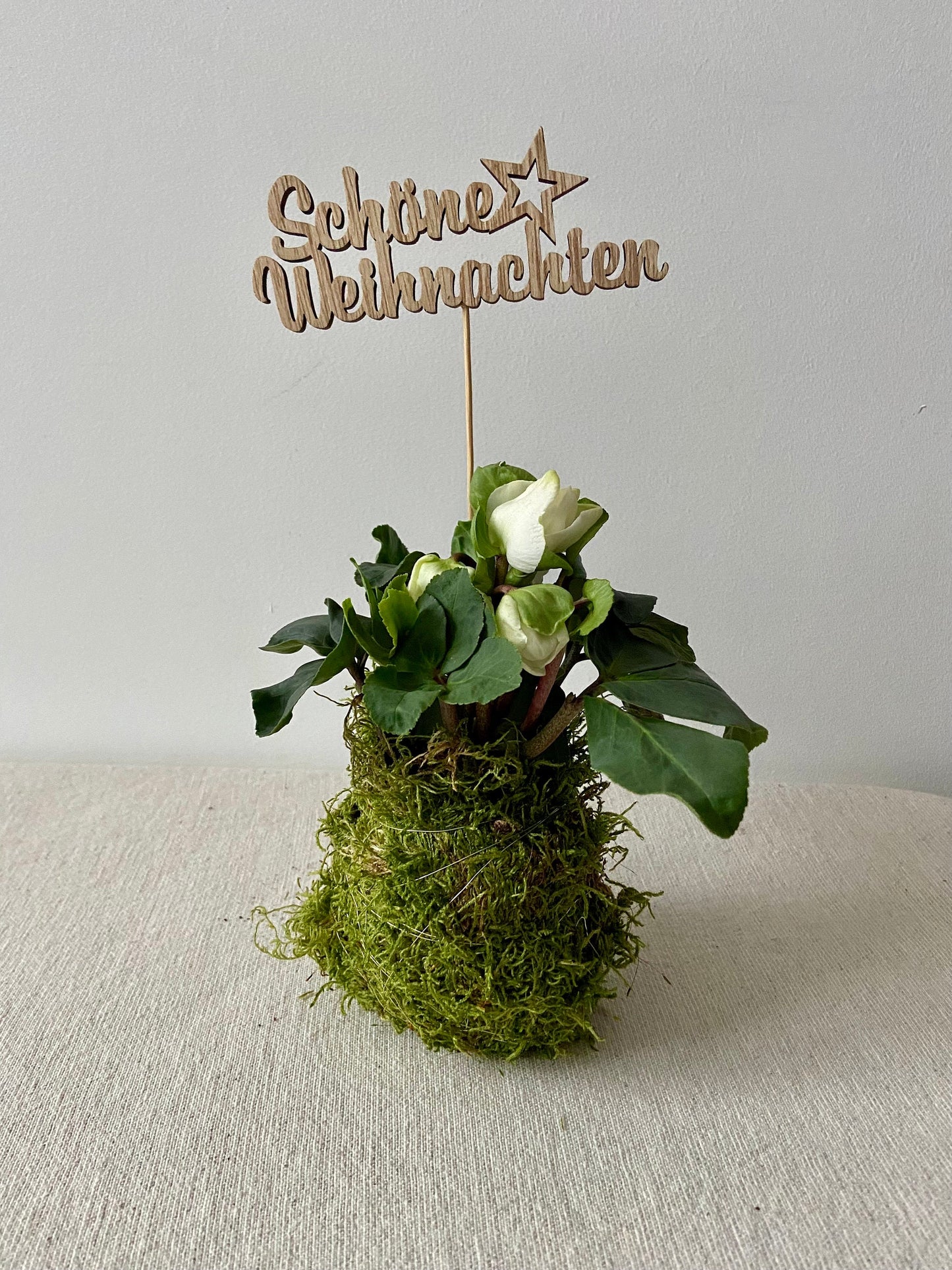 Christrose in Moos | Weihnachtsdekoration | Tischdeko | Winterdeko | Moos | Weihnachten | Christrose | Winterblume | Helleborus | Advent