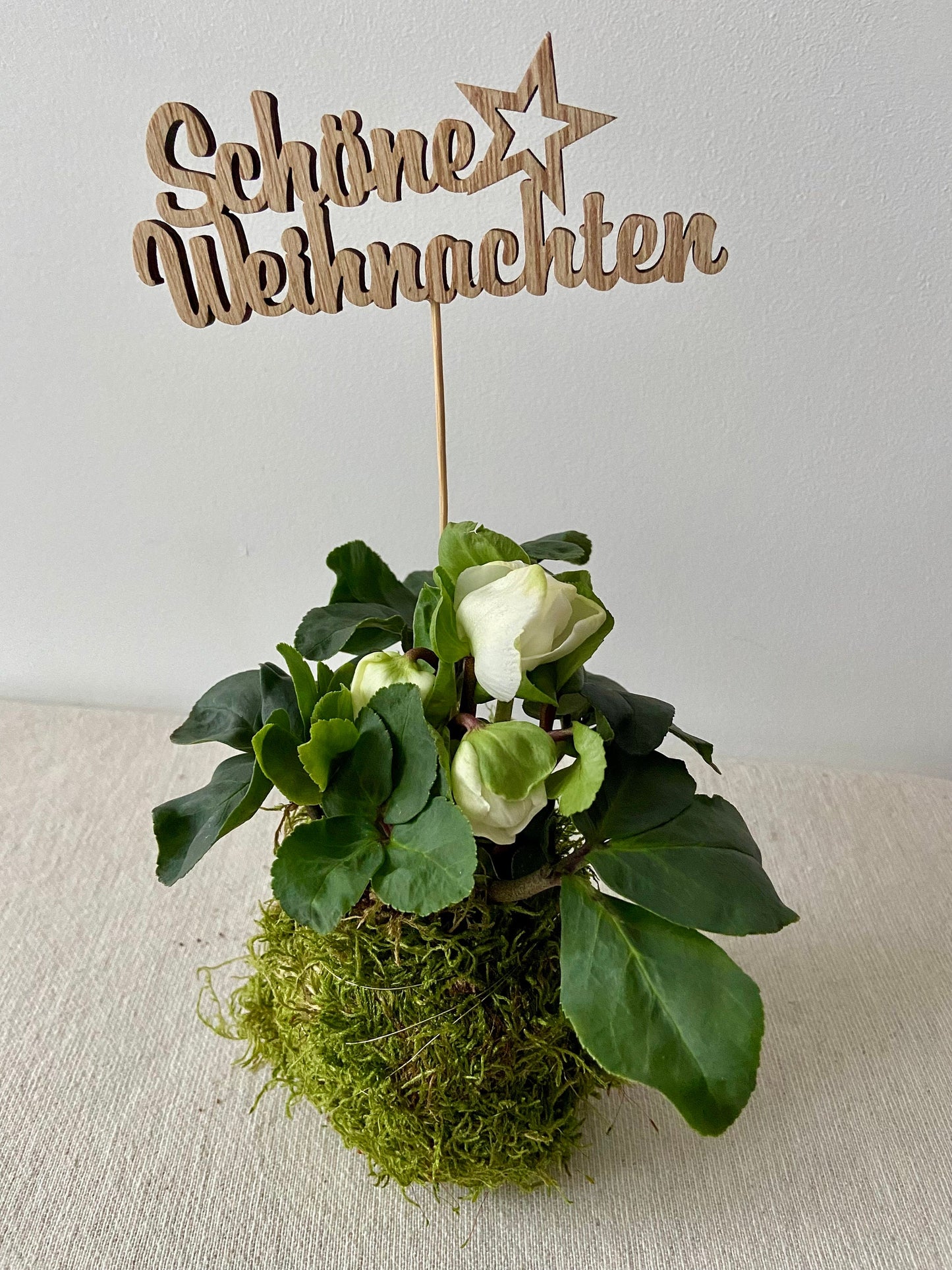 Christrose in Moos | Weihnachtsdekoration | Tischdeko | Winterdeko | Moos | Weihnachten | Christrose | Winterblume | Helleborus | Advent