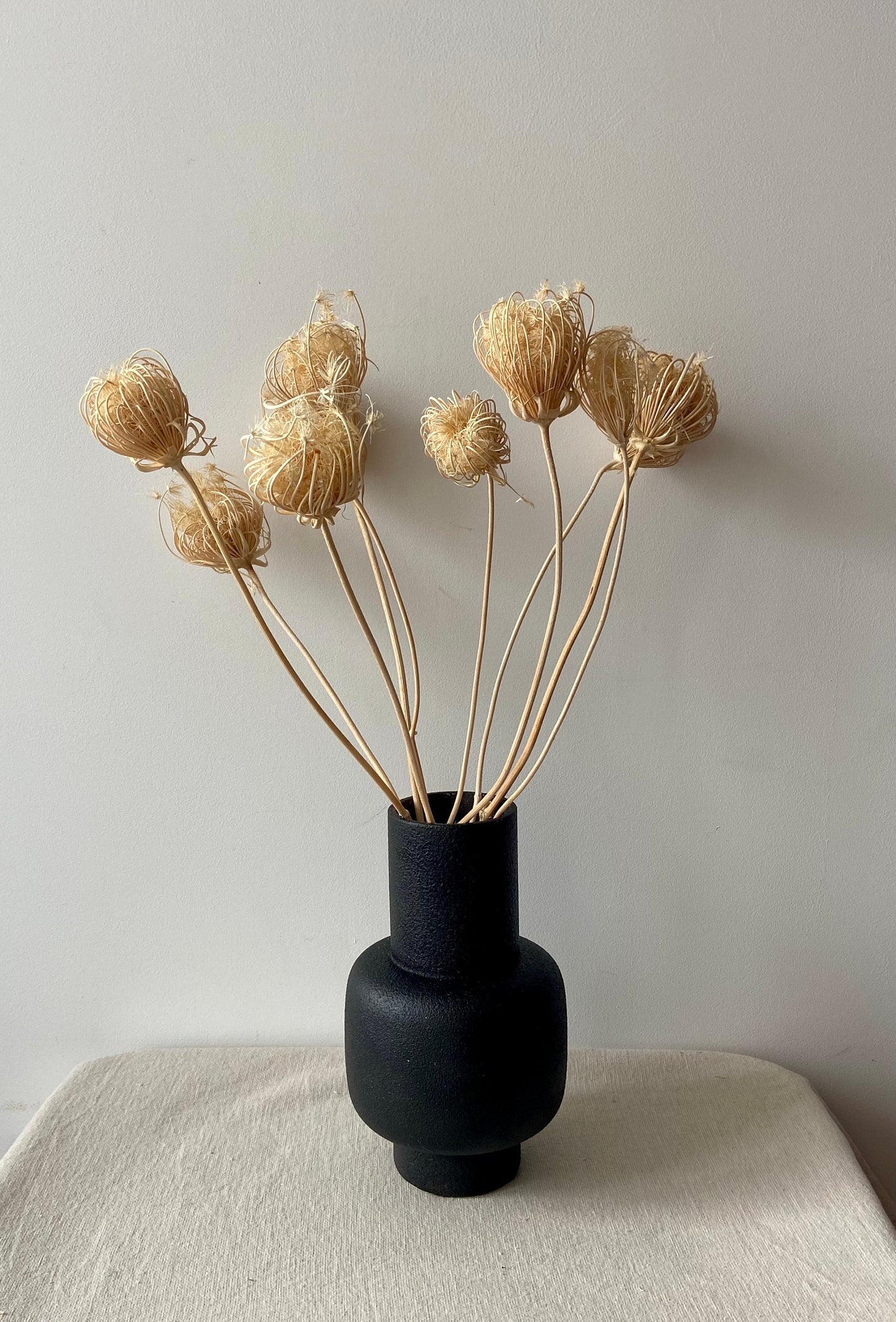 Fenchelblüten | creme | getröcknete Blüten | Fenchel creme | Trockenblume | Frühling | Zweige für die Vase | Blütenzweig | Ostern | Home