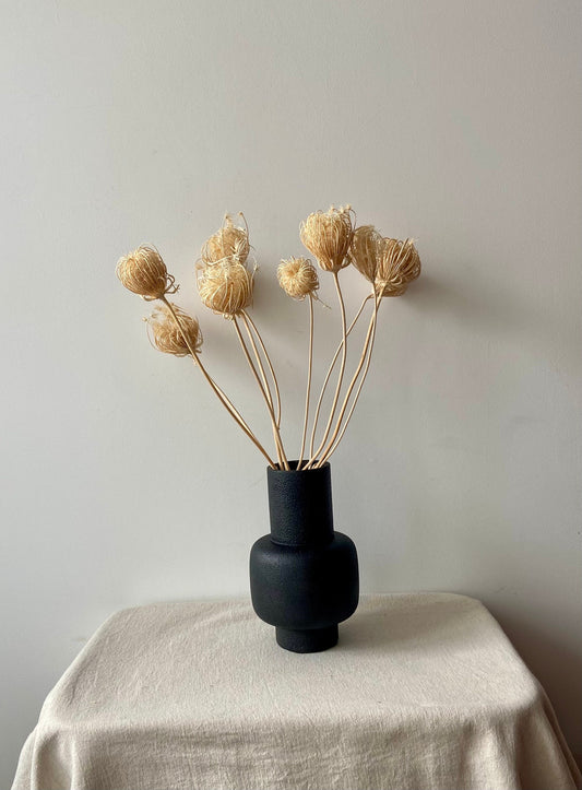 Fenchelblüten | creme | getröcknete Blüten | Fenchel creme | Trockenblume | Frühling | Zweige für die Vase | Blütenzweig | Ostern | Home
