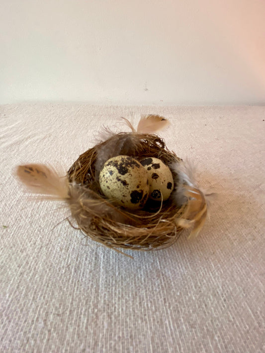 Nestchen mit Wachteleiern & Federn | Ostern | Frühling | Dekoration | Osterdeko | natürliche Deko | Skandinavisch | schlicht