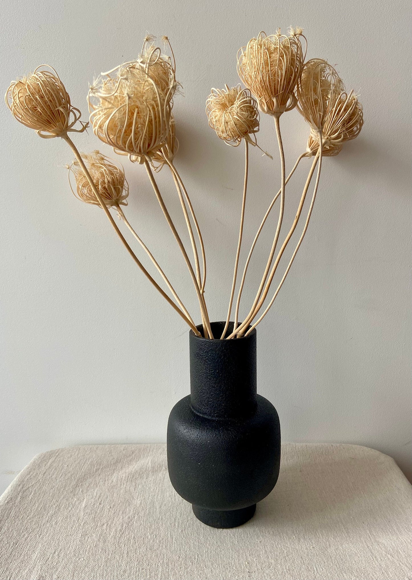Fenchelblüten | creme | getröcknete Blüten | Fenchel creme | Trockenblume | Frühling | Zweige für die Vase | Blütenzweig | Ostern | Home
