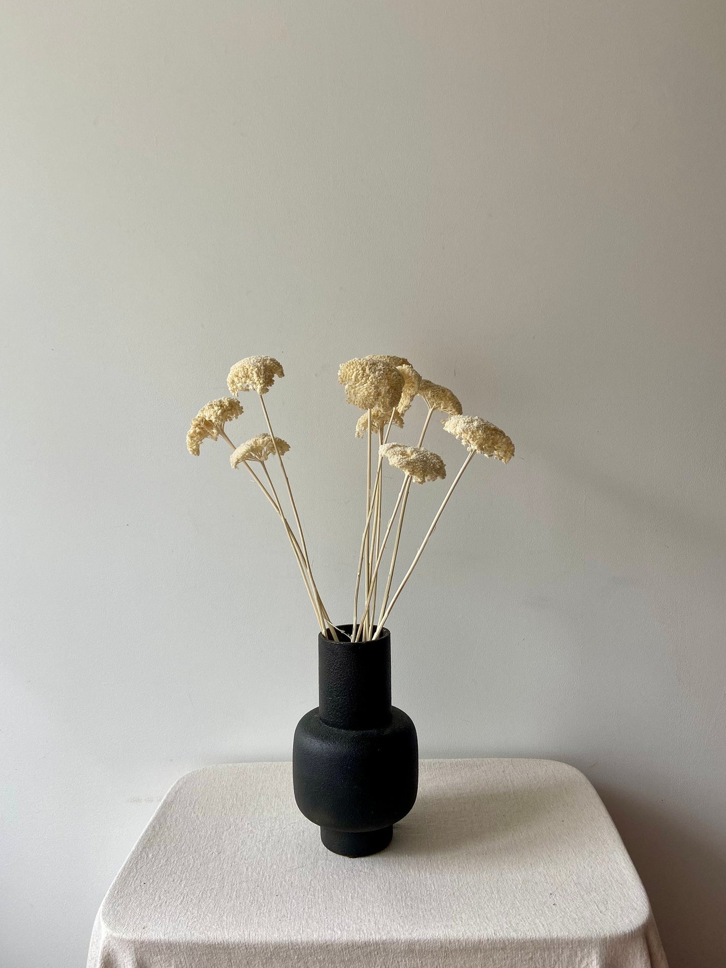 Achillea | weiß | getröcknete Blüten | Achillea weiß | Trockenblume | Frühling | Zweige für die Vase | Blütenzweig | Ostern | Home | Living
