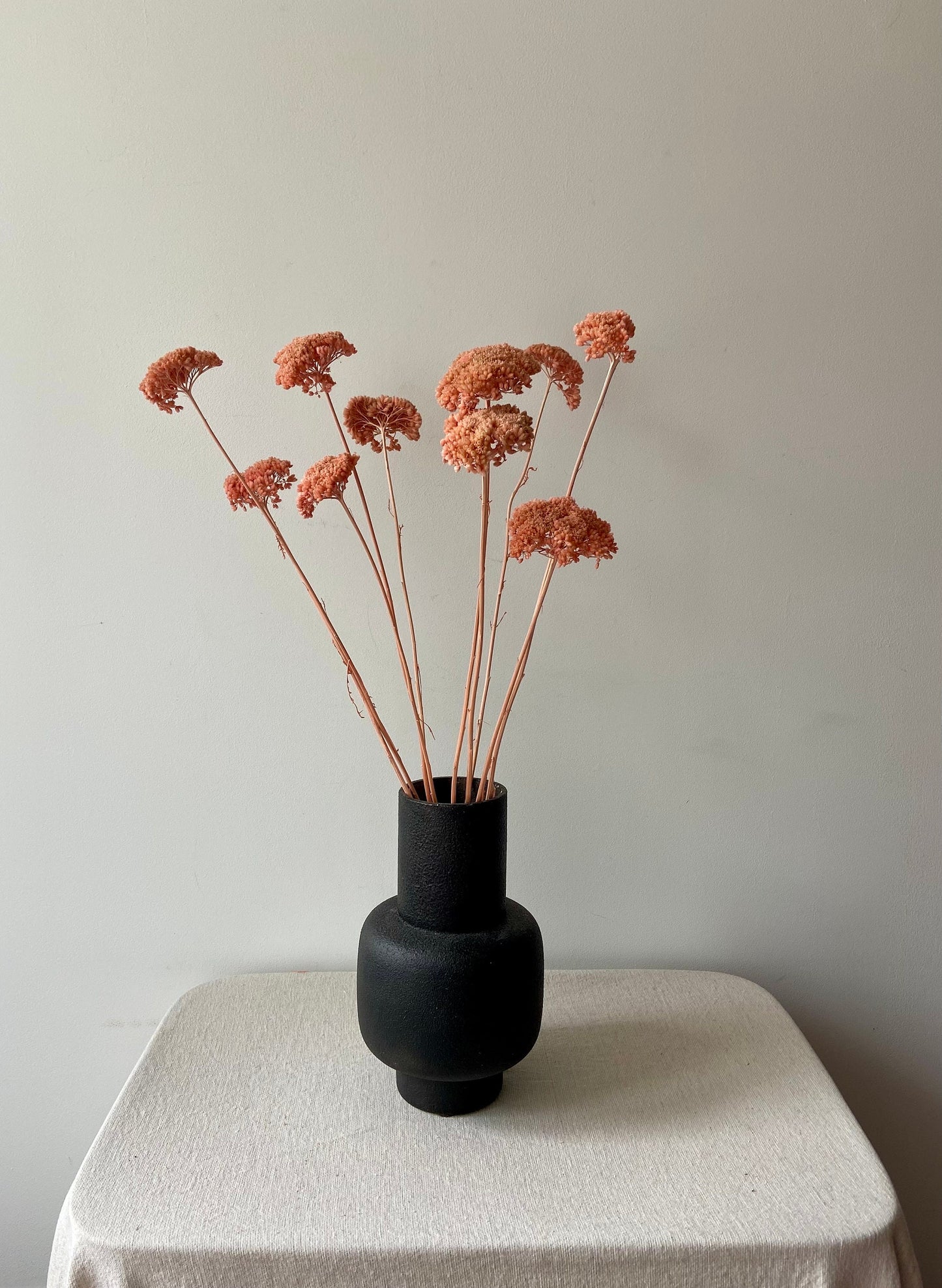 Achillea | puder | rosa | getröcknete Blüten | Achillea weiß | Trockenblume | Frühling | Zweige für die Vase | Blütenzweig | Home | Living