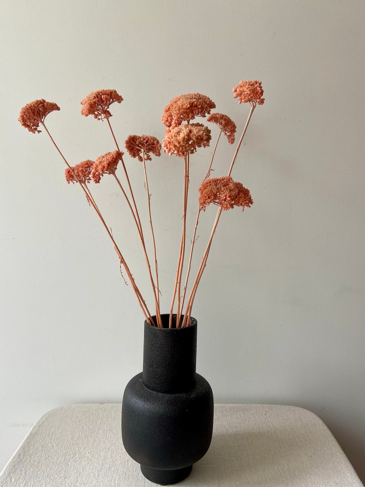 Achillea | puder | rosa | getröcknete Blüten | Achillea weiß | Trockenblume | Frühling | Zweige für die Vase | Blütenzweig | Home | Living