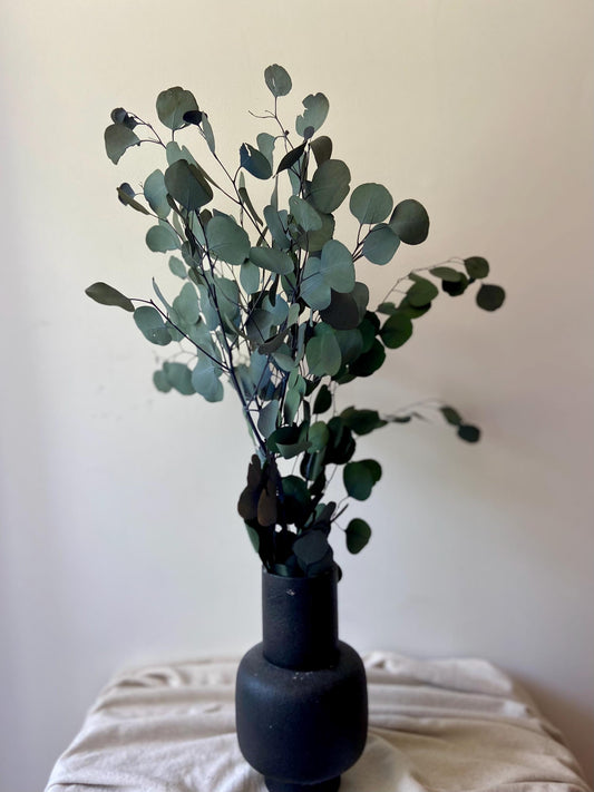 Eukalyptus | getrocknete Zweige | getrockneter Eukalyptus | Zweige für die Vase | Skandinavisch | Schlichte Deko
