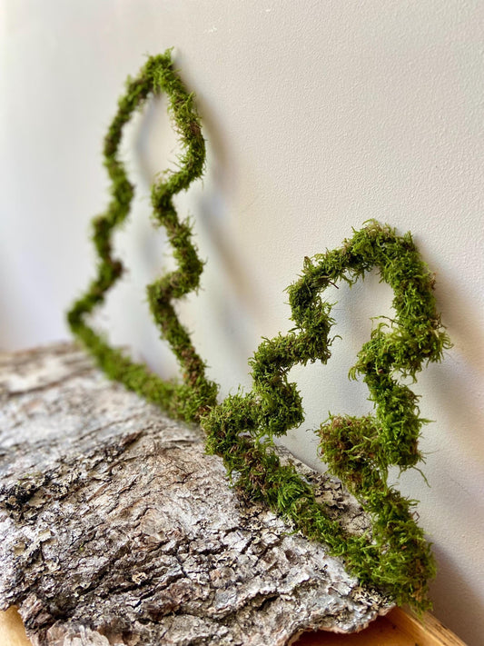 Tannenbaum aus Moos | Türschmuck | Fensterschmuck | Moosbaum | Advent | Weihnachten | Deko | Winter | Naturdeko | Mini-Tannenbaum