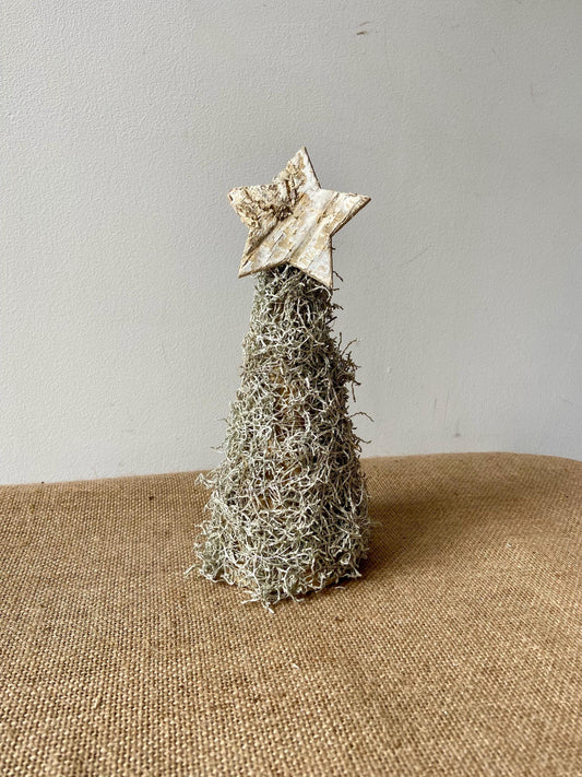 Weihnachtsbaum Silberdraht mit Stern | Tannenbaum | Silberdraht Bäumchen | Advent | Weihnachten | Winter | Mini-Tannenbaum | Stern | Birke